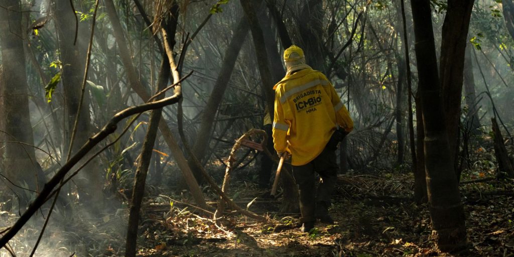 amazonia-tem-o-maior-numero-de-queimadas-e-incendios-em-17-anos