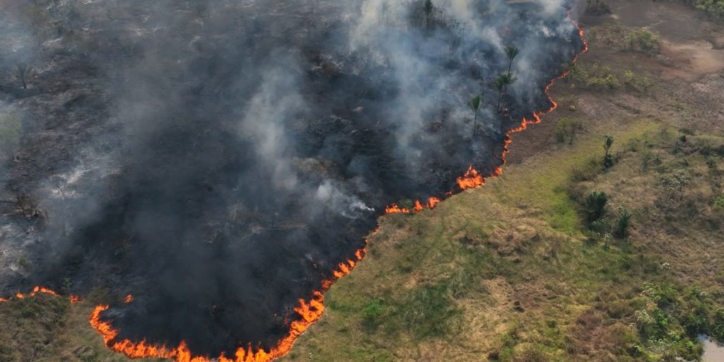 tv-brasil-reexibe-programa-premiado-sobre-emergencia-climatica