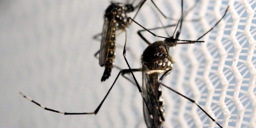 obitos-por-dengue-chegam-a-14-em-sao-paulo-e-a-21-no-brasil-em-2025