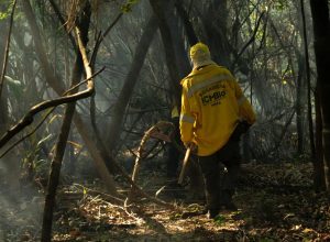 amazonia-tem-o-maior-numero-de-queimadas-e-incendios-em-17-anos