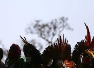 ciencia-precisa-dialogar-com-ecologia-indigena,-dizem-pesquisadores